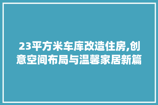 23平方米车库改造住房,创意空间布局与温馨家居新篇_车库改住房_效果图23平方米