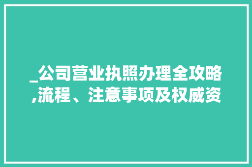 _公司营业执照办理全攻略,流程、注意事项及权威资料解读__公司营业执照怎么办理