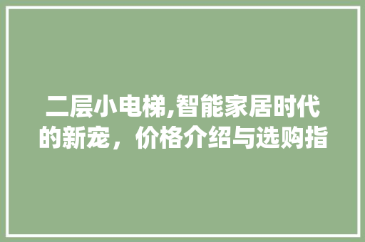 二层小电梯,智能家居时代的新宠，价格介绍与选购指南_二层小电梯价格