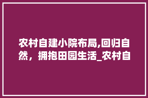 农村自建小院布局,回归自然，拥抱田园生活_农村自建小院布局图