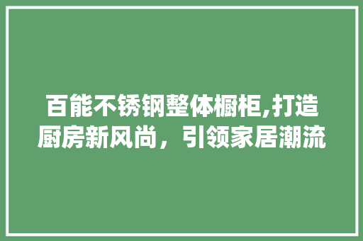 百能不锈钢整体橱柜,打造厨房新风尚，引领家居潮流_百能不锈钢整体橱柜官网