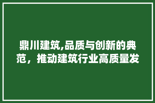 鼎川建筑,品质与创新的典范，推动建筑行业高质量发展_鼎川建筑怎么样