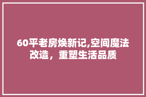 60平老房焕新记,空间魔法改造，重塑生活品质
