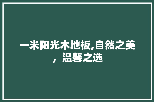 一米阳光木地板,自然之美，温馨之选