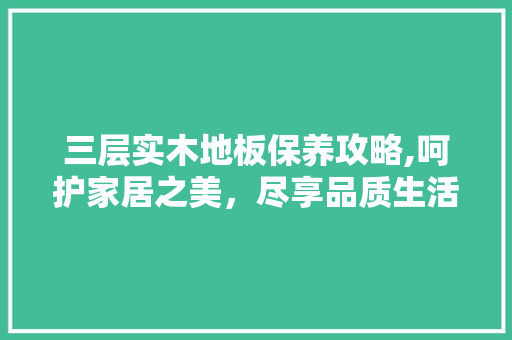 三层实木地板保养攻略,呵护家居之美，尽享品质生活