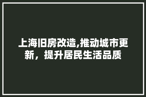 上海旧房改造,推动城市更新，提升居民生活品质