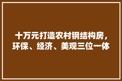 十万元打造农村钢结构房，环保、经济、美观三位一体_农村十万元钢结构房
