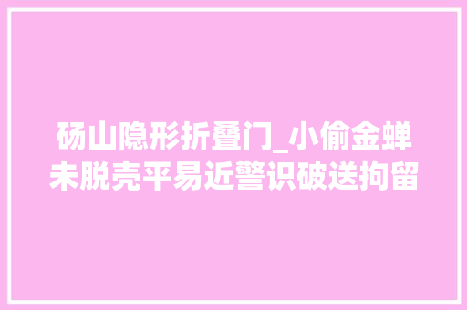 砀山隐形折叠门_小偷金蝉未脱壳平易近警识破送拘留