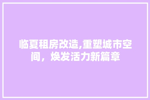 临夏租房改造,重塑城市空间，焕发活力新篇章