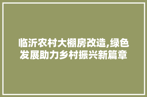 临沂农村大棚房改造,绿色发展助力乡村振兴新篇章
