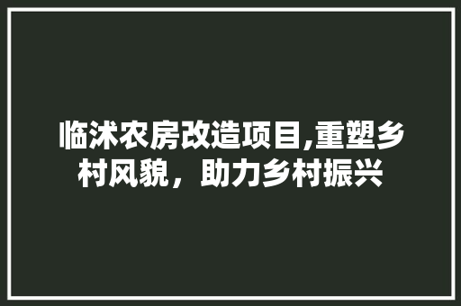 临沭农房改造项目,重塑乡村风貌，助力乡村振兴