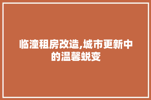 临潼租房改造,城市更新中的温馨蜕变