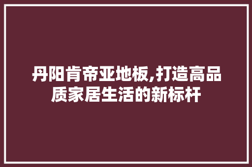 丹阳肯帝亚地板,打造高品质家居生活的新标杆