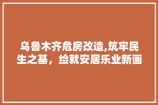 乌鲁木齐危房改造,筑牢民生之基，绘就安居乐业新画卷