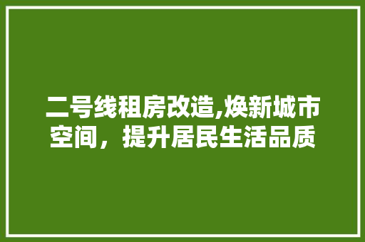 二号线租房改造,焕新城市空间，提升居民生活品质