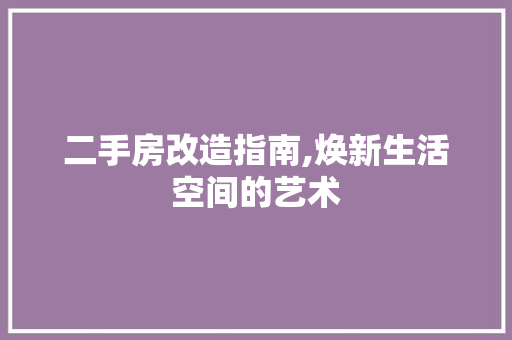 二手房改造指南,焕新生活空间的艺术