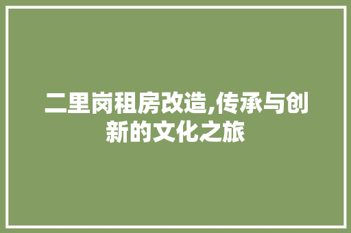 二里岗租房改造,传承与创新的文化之旅
