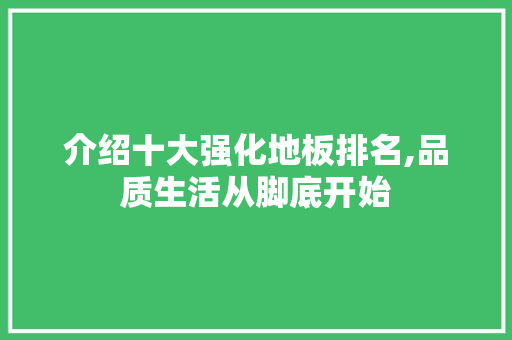 介绍十大强化地板排名,品质生活从脚底开始