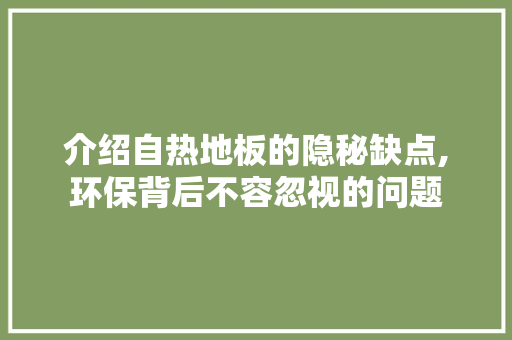 介绍自热地板的隐秘缺点,环保背后不容忽视的问题