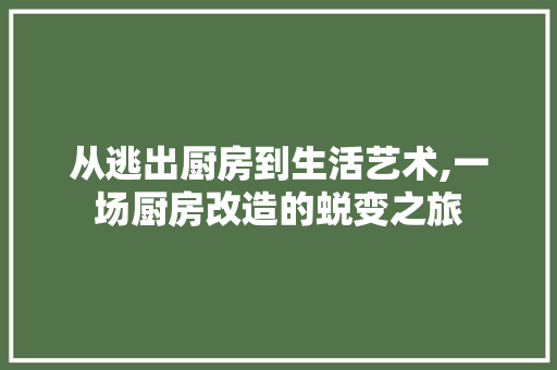 从逃出厨房到生活艺术,一场厨房改造的蜕变之旅
