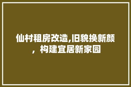 仙村租房改造,旧貌换新颜，构建宜居新家园