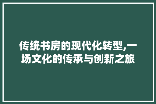 传统书房的现代化转型,一场文化的传承与创新之旅