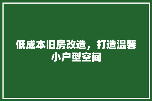 低成本旧房改造，打造温馨小户型空间