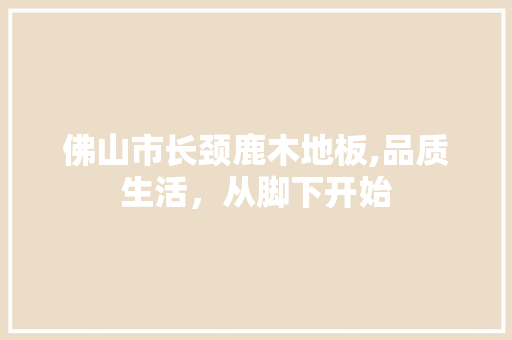 佛山市长颈鹿木地板,品质生活，从脚下开始