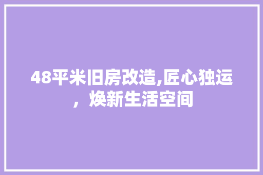 48平米旧房改造,匠心独运，焕新生活空间