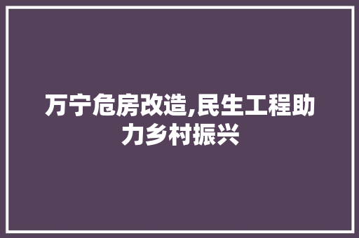 万宁危房改造,民生工程助力乡村振兴