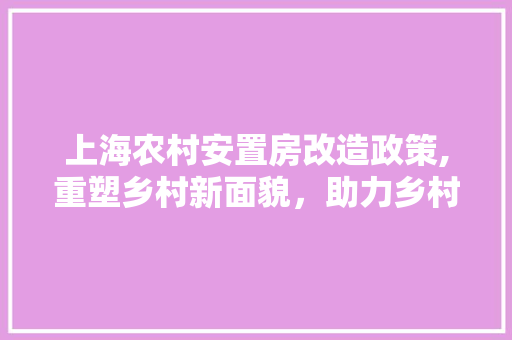 上海农村安置房改造政策,重塑乡村新面貌，助力乡村振兴