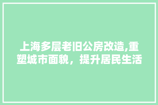 上海多层老旧公房改造,重塑城市面貌，提升居民生活品质