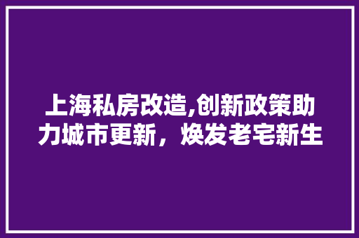 上海私房改造,创新政策助力城市更新，焕发老宅新生
