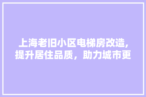 上海老旧小区电梯房改造,提升居住品质，助力城市更新