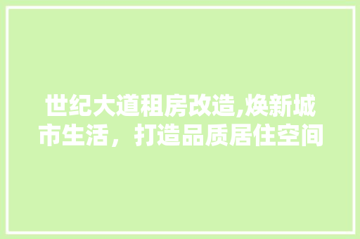世纪大道租房改造,焕新城市生活，打造品质居住空间