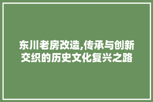 东川老房改造,传承与创新交织的历史文化复兴之路