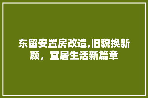 东留安置房改造,旧貌换新颜，宜居生活新篇章