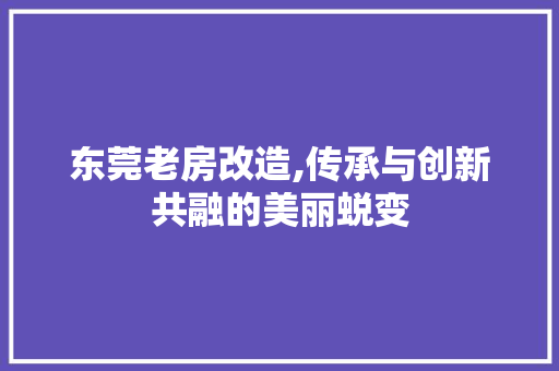 东莞老房改造,传承与创新共融的美丽蜕变