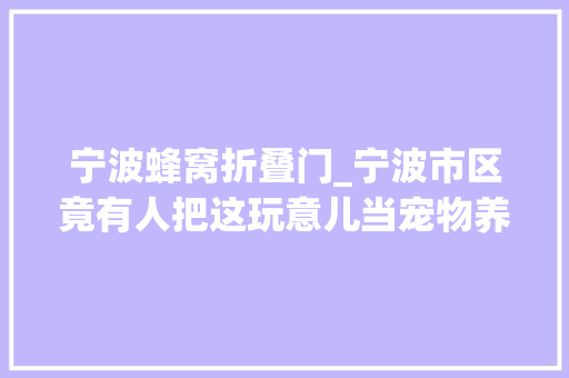 宁波蜂窝折叠门_宁波市区竟有人把这玩意儿当宠物养邻居慌去世了