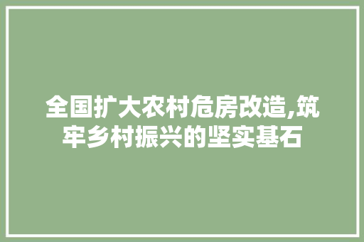 全国扩大农村危房改造,筑牢乡村振兴的坚实基石