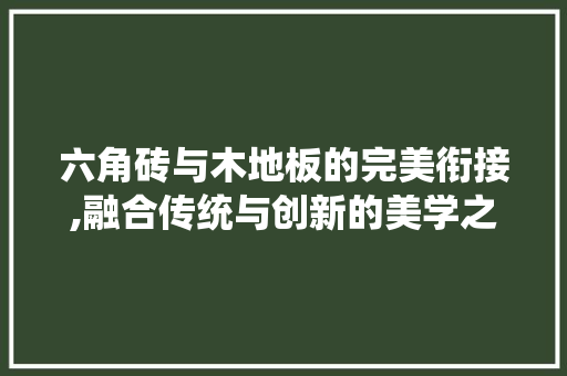 六角砖与木地板的完美衔接,融合传统与创新的美学之旅