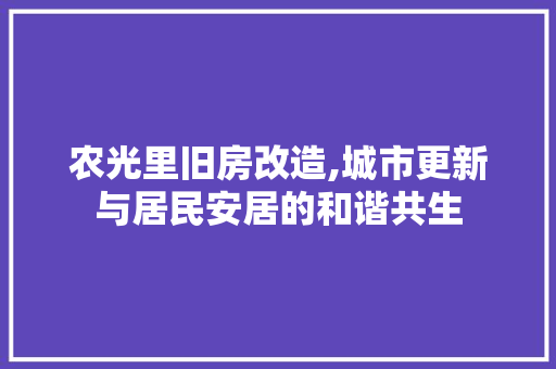 农光里旧房改造,城市更新与居民安居的和谐共生