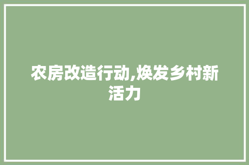 农房改造行动,焕发乡村新活力