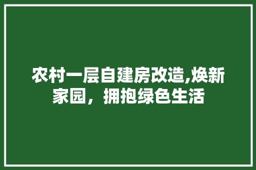 农村一层自建房改造,焕新家园，拥抱绿色生活