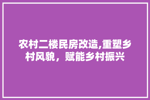农村二楼民房改造,重塑乡村风貌，赋能乡村振兴