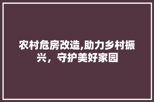 农村危房改造,助力乡村振兴，守护美好家园