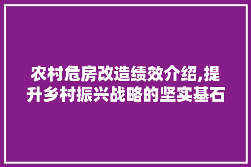农村危房改造绩效介绍,提升乡村振兴战略的坚实基石