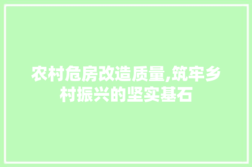农村危房改造质量,筑牢乡村振兴的坚实基石