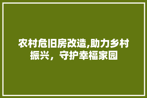 农村危旧房改造,助力乡村振兴，守护幸福家园