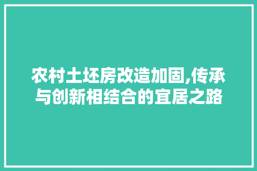 农村土坯房改造加固,传承与创新相结合的宜居之路
